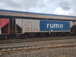 RUMO HPT-031886-8